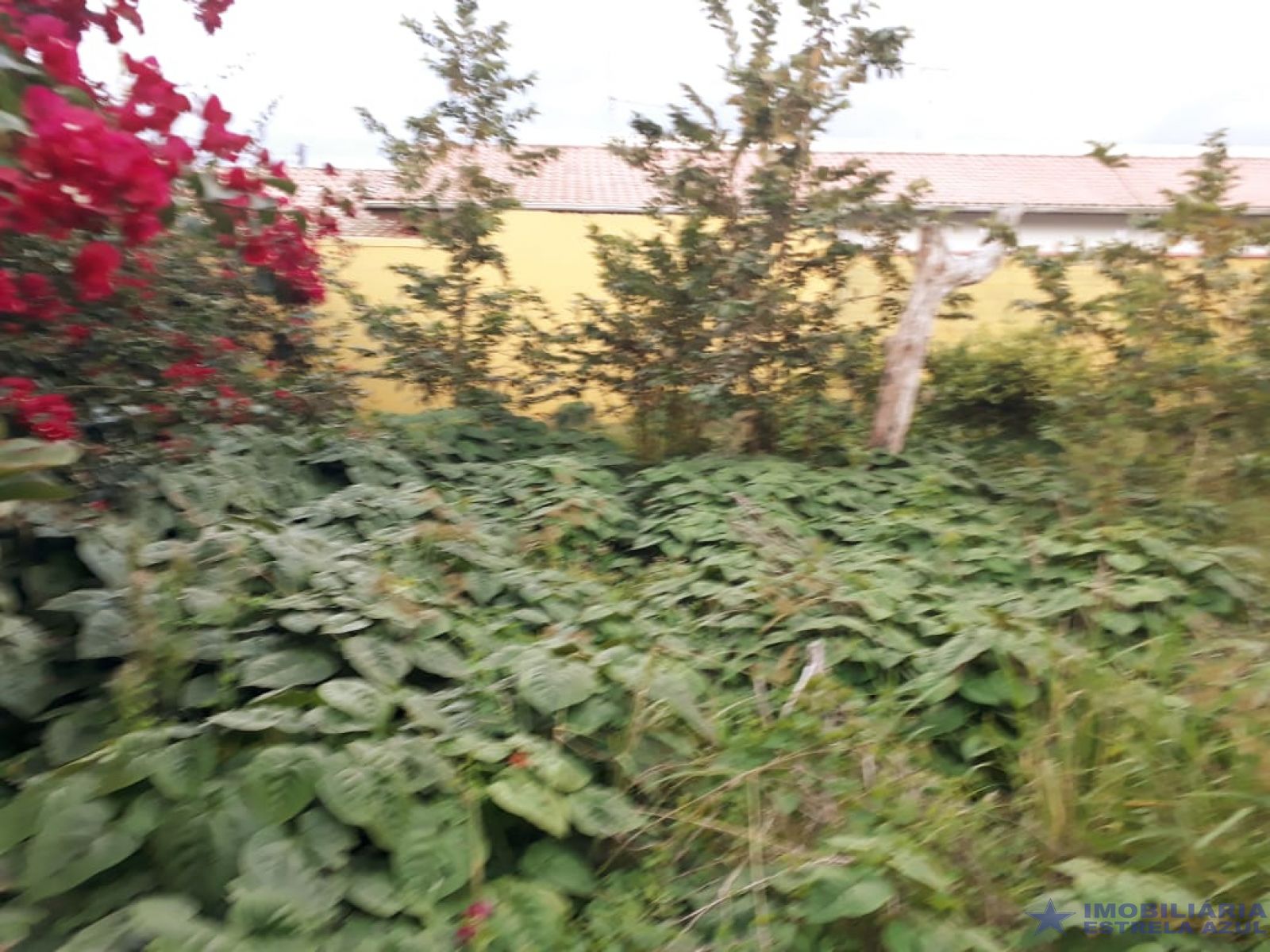 Terreno no bairro Jardim Real